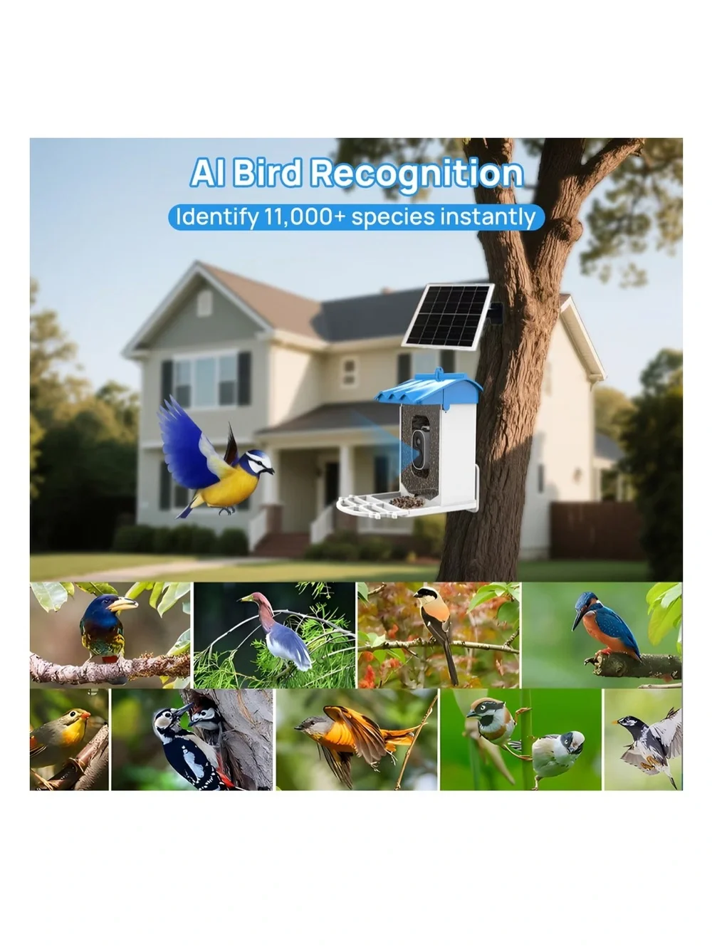 NWT Beuteka Smart AI Birdfeeder w/ Camera and Solar Power